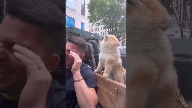 1000069203.mp4