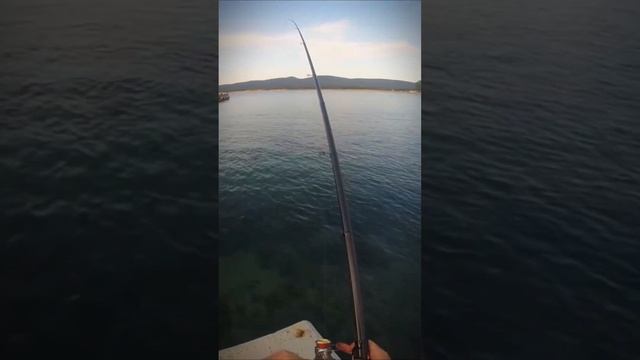 Рыбалка на чёрном море. Кефаль.