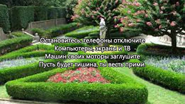 Остановись