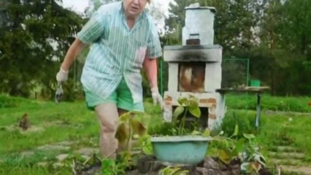 Самоизоляция в деревне Беляи