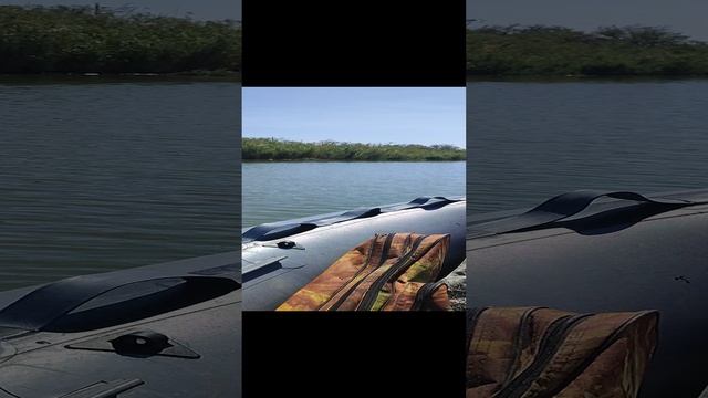 гонки на моторах