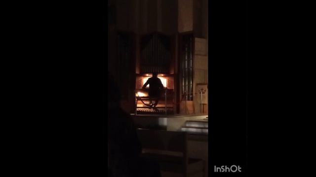 #17 Рождественский органный концерт в соборе св.Петра и Павла