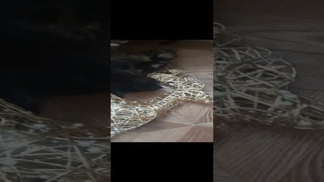 Котята завалили оленя