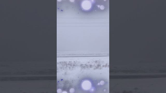 22.12.2024 Утро, поезд