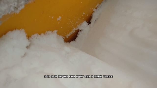 Пчëлы под снегом #мëд #пчела #пчелосемья #пасека #мед #мёд #матка #пчёлы #снег #природа