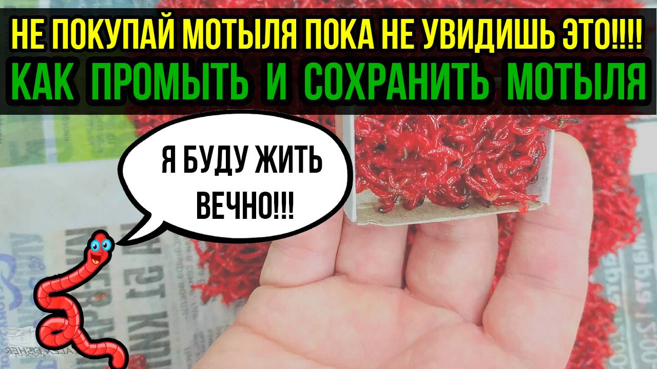 НЕ ПОКУПАЙ МОТЫЛЯ ПОКА НЕ УВИДЕЛ ЭТО‼️ Как ПРОМЫТЬ МОТЫЛЬ в домашних условиях|Дедовский способ!🔥🔥