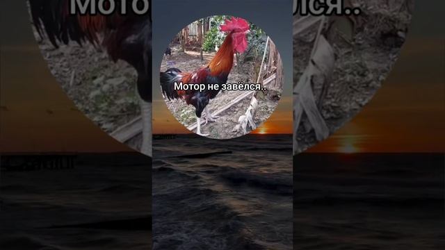 1000004403.mp4