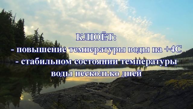 ДА ЧТО ВЫ ЗНАЕТЕ О РЫБАЛКЕ. Влияние ТЕМПЕРАТУРЫ ВОДЫ на КЛЕВ РЫБЫ | SeMano TV