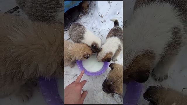 VID-20241220-WA0012