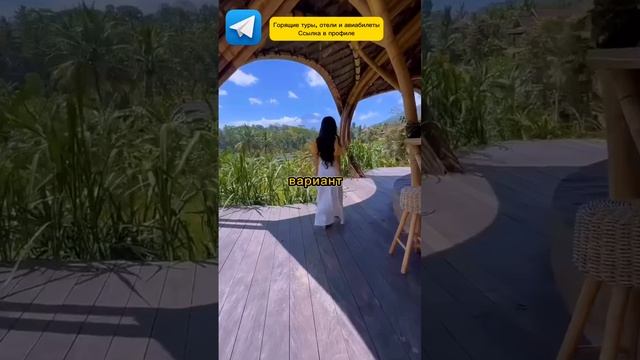 ДЕШЕВЫЕ ЭМИРАТЫ ЗА 43 ТЫСЯЧИ НА НОВЫЙ ГОД