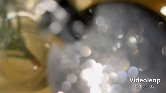 Коротко о моей ёлке 2023