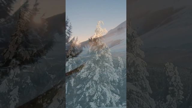 Бьют часы