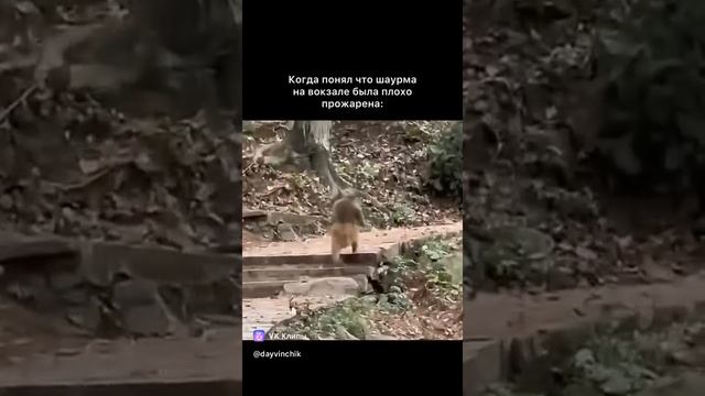 1000003086.mp4