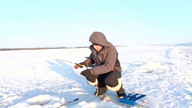 РЕБЯТА это ЗИМНИЙ ад 🥶-35, рыба на р. Амур вымерла