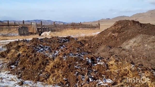 Зимняя прогулка по деревне 2023г