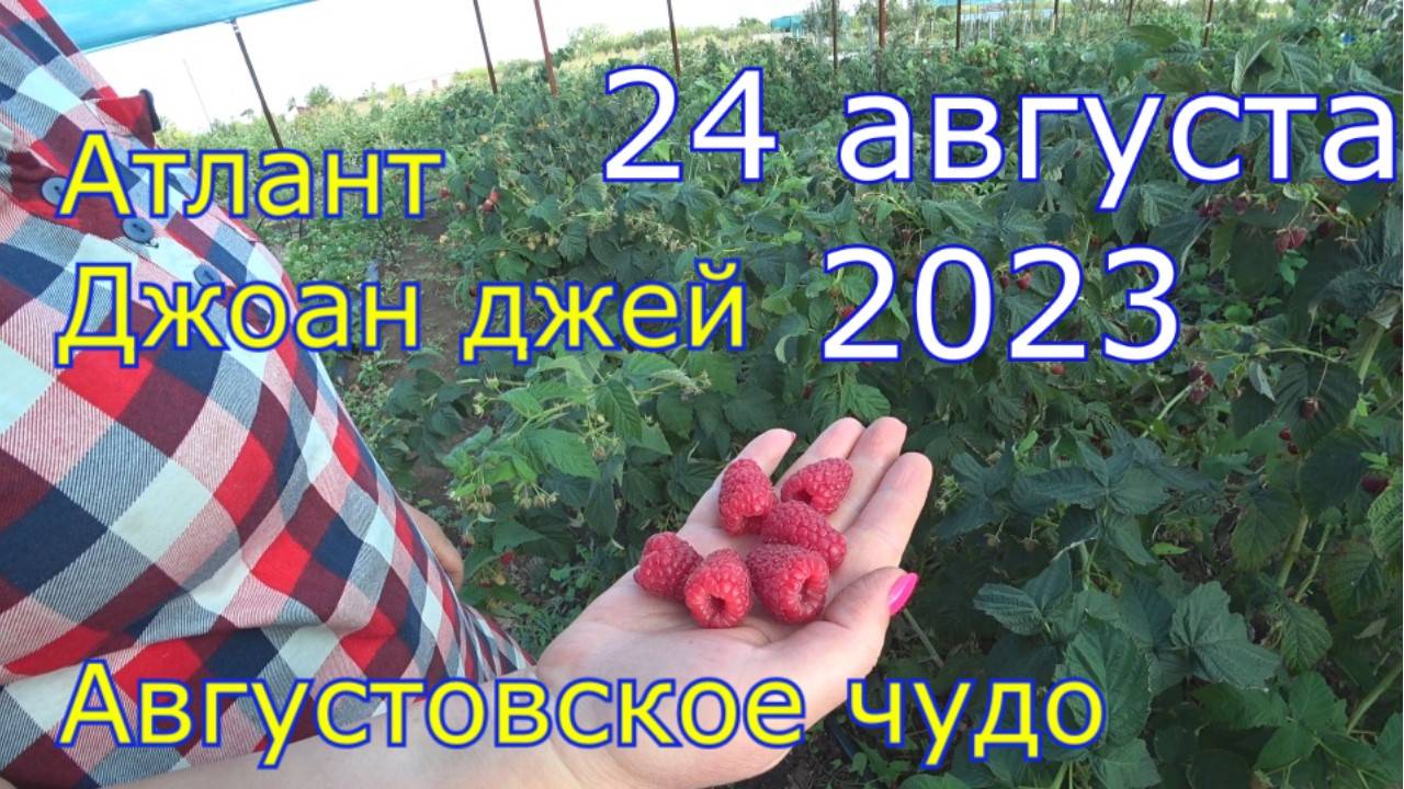 №51 г. Оренбург Оренбургская область 24 августа 2023