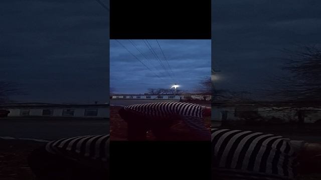 Дровишки  сучковые  жесть!!!!!