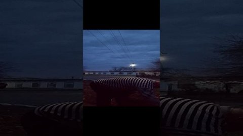 Дровишки сучковые жесть!!!!!