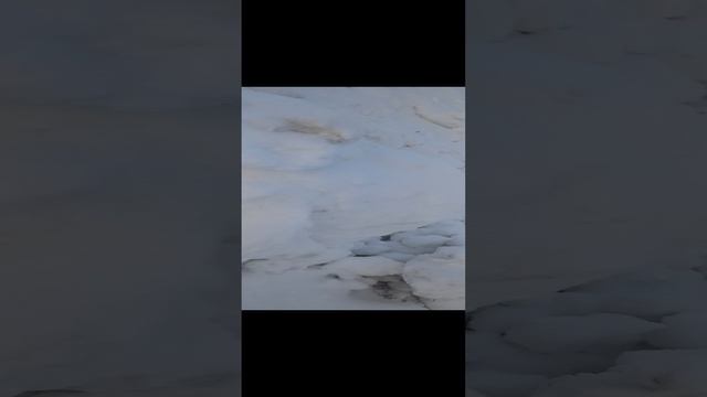 VID_20241222_144710.mp4