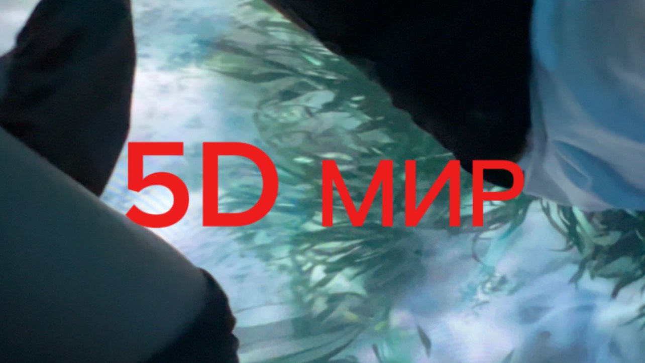 5D МИР