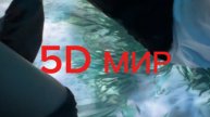 5D МИР