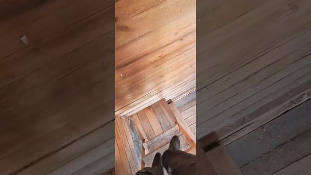 Лестница своими руками