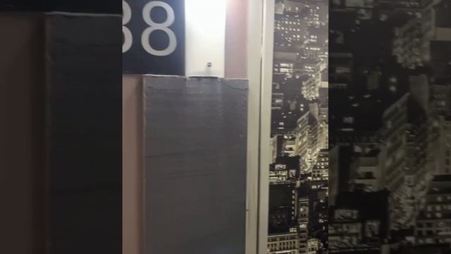 🎵Музыкальный нонсенс случился в ЖК «Новая Звезда»🎵