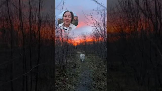 Утренняя прогулка