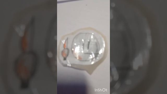 1000024761.mp4
