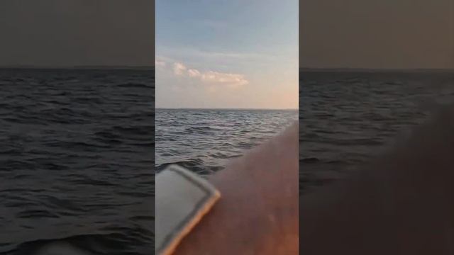 Поклевка судака крупным планом.