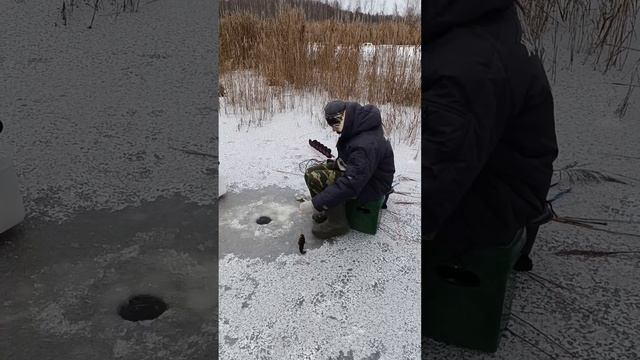 Анонс! Ловля Ротана по Первому льду.