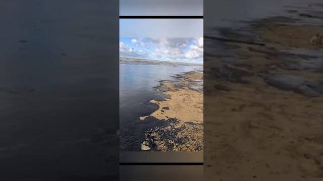 1000536036.mp4