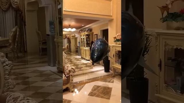 Акула на радиоуправлении