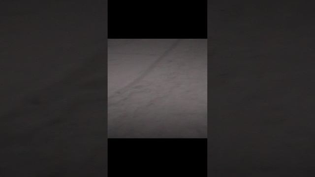 1000023017.mp4