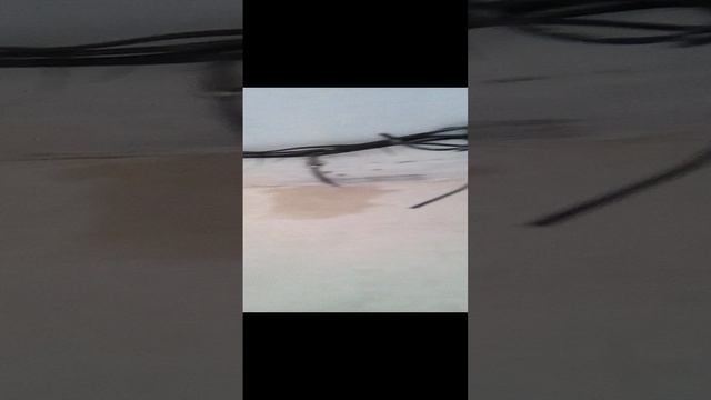 39.mp4  вк Рус строй ремонт  89608251596