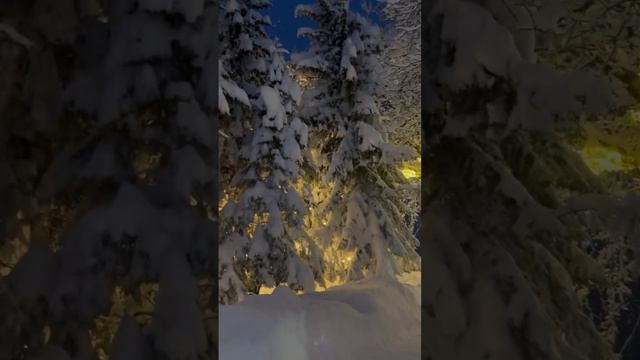Новогодняя сказка на озере Рица ❄️🎄