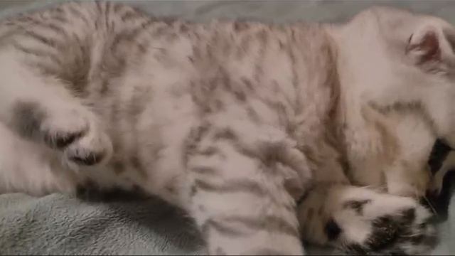 1000002187.mp4