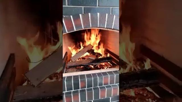 1000021455.mp4
