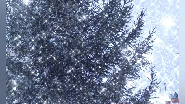 1000047868.mp4
