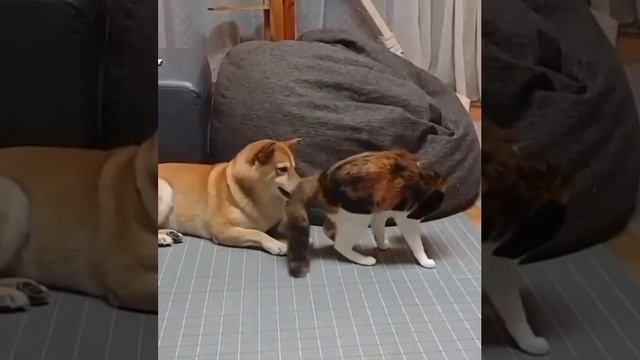 1000069197.mp4