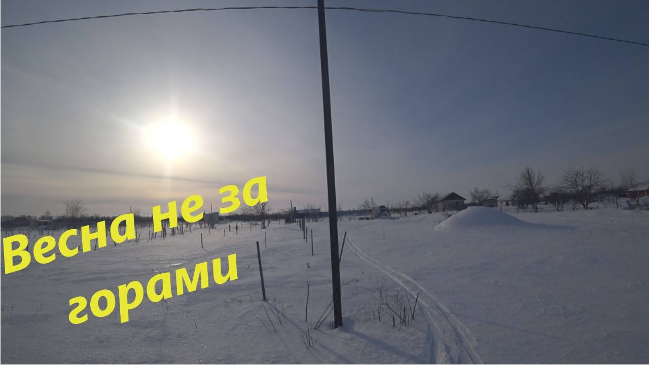№28 г.Оренбург  22 января малина в снегу