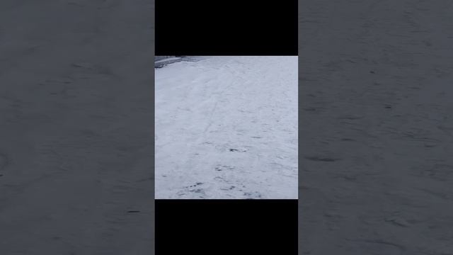 VAGIFOK ОСНОВА ПРЕДСКАЗАНИЯ ЧЕРЕЗ ОЩУЩЕНИЯ ЧАСТЬ 31