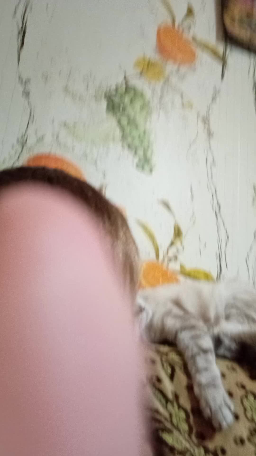 реакция на музыки