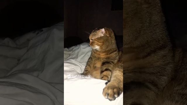пошла в аптеку.mp4