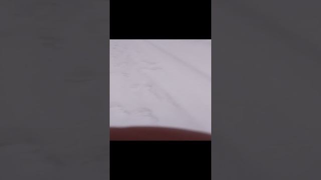 1000023051.mp4
