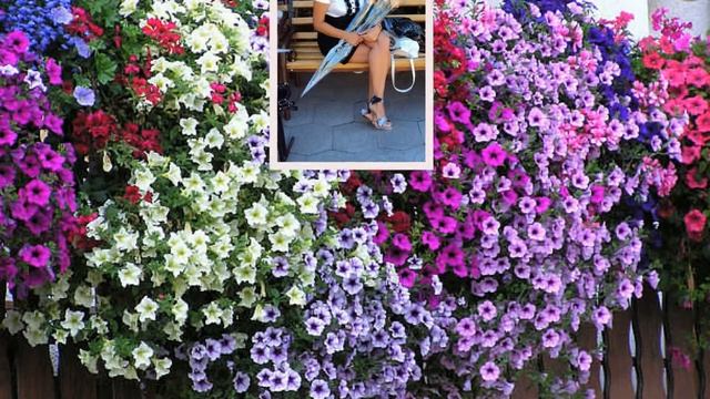 Юля Ува