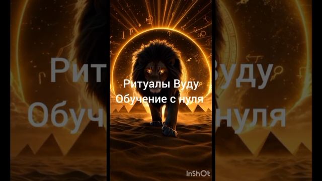 Обучение с нуля