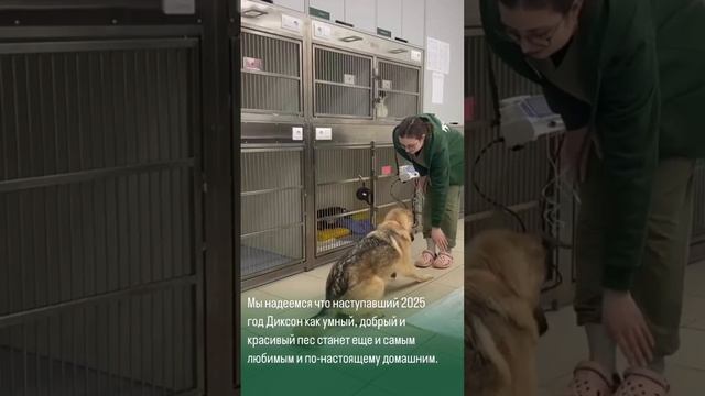 1000085520.mp4