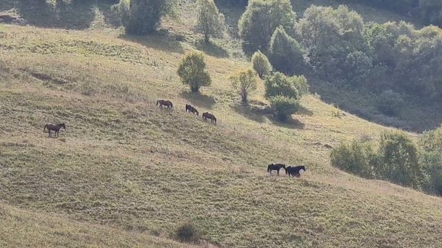 Поездка на Кавказ на автодоме. Часть 3 (Чегемские водопады, Флай Чегем)