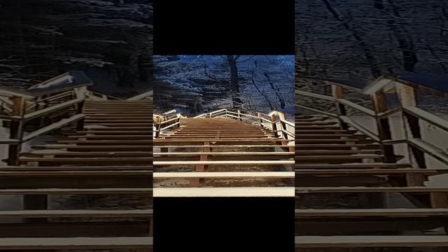 Лестница в снежный лес.